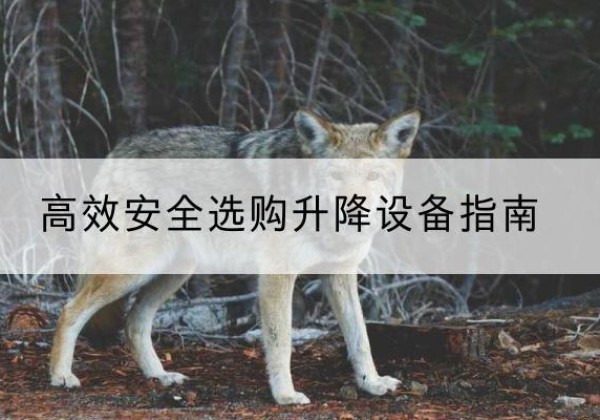 辉南升降货梯厂家推荐-*安全选购升降设备指南