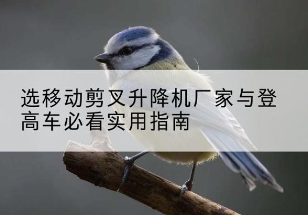 辉南电动升降机厂家-选移动剪叉升降机厂家与登高车必看实用指南