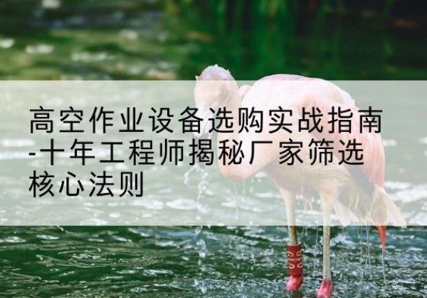 辉南剪叉式升降机厂家-高空作业设备选购实战指南-十年工程师揭秘厂家筛选核心法则